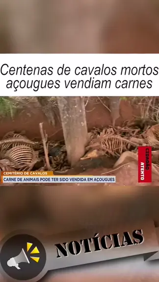 CEMITÉRIO DE CAVALOS: CARNE DE ANIMAIS PODE TER SIDO VENDIDA EM AÇOUGUES 