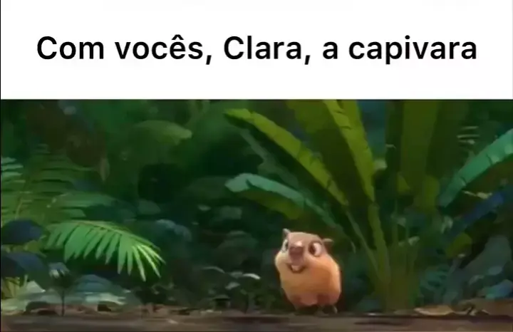 clara a capivara rio 2