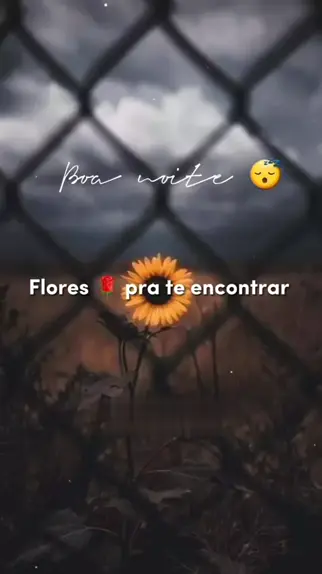 flores pra te encontrar