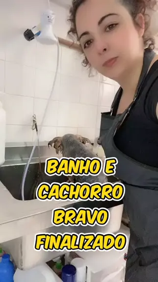 Como dar banho em cachorro bravo com segurança