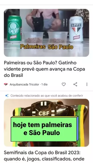 São Paulo x Flamengo: Gato vidente prevê qual dos times será o campeão da  Copa do Brasil; confira