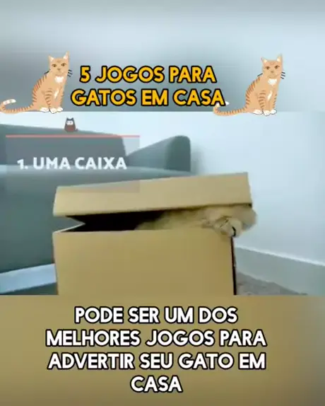 Jogo Para Gato - Borboleta Na Tela (Super Divertido) 🦋 