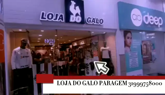 Loja do Galo Paragem