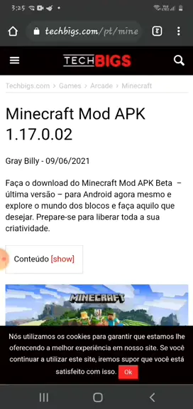 Minecraft 1.17.0.02 para Android