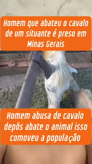 Apesar de repercussão, homem que matou cavalo não deve ficar preso