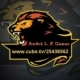 andrelfgamer