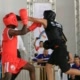 Boxe Highlights