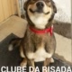 Clube da Risada