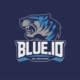 blueid_authentic