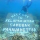 petualang_lampung