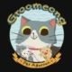groomeong_cat_adoption