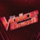 The Voice Brasil