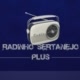 Radinho Sertanejo
