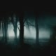 Dark forest