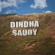 Dindha Sauqy