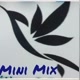 Mini Mix RJ