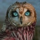 OWL Channel