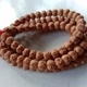 Rudraksha20