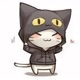 Black Hoodie Cat