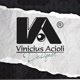 viniciusaciolidesigner
