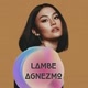 Agnez Mo Fan Forum