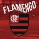 ❤️flamengo🖤