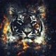 mlktiger2#