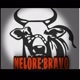 Nelore Bravo Oficial