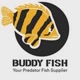 BuddyFish