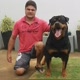Canil Império Negro Rottweiler
