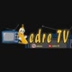 Ledre TV