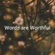 words are worthful