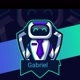 GABRIEL       0