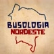 Busologia Nordeste