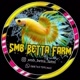 Smb_betta_farm