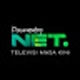 NET. Documentary
