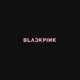 BLΛƆKPIИK(블랙 핑크)