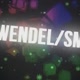 WENDEL/SM