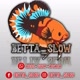 Betta_slow01