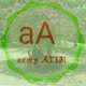 army ATIM