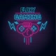 FLOXY GAMING