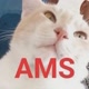 AMS GAMING