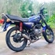 rxking135 cc