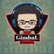 Gimbal Gamers