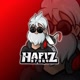 hafiz_story