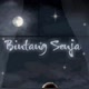 Bintang_Senja01