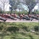 Indonesian Army）