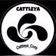 CATTLEYA.corp