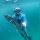 r_spearfishing