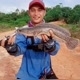 Angler 92 Fishing Snakehead